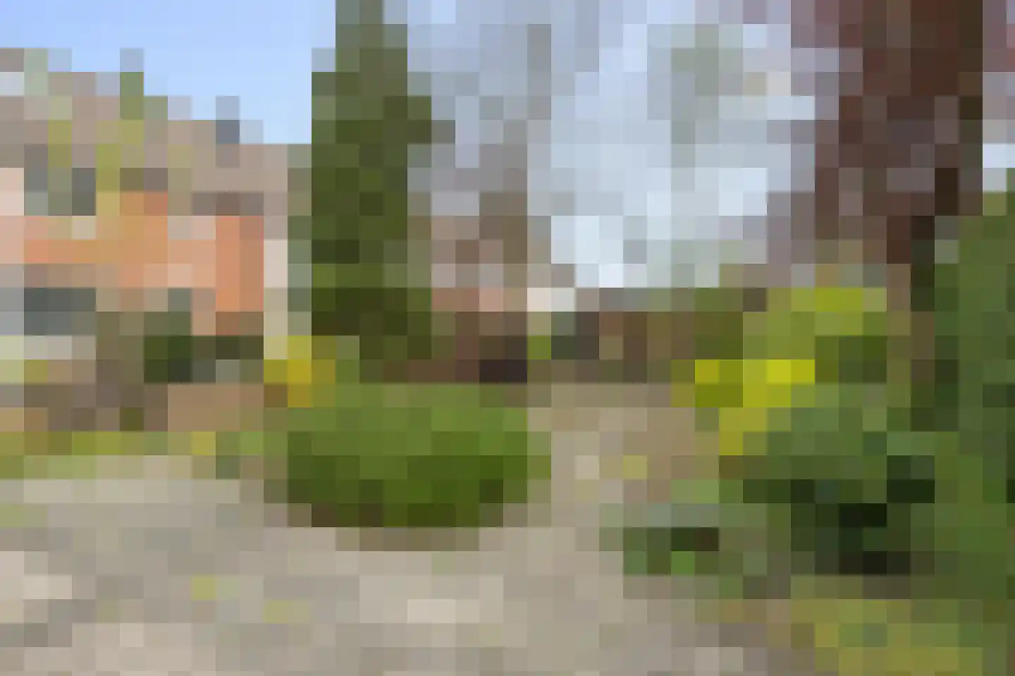 Roerdompweide 2 Houten thumbnail 20