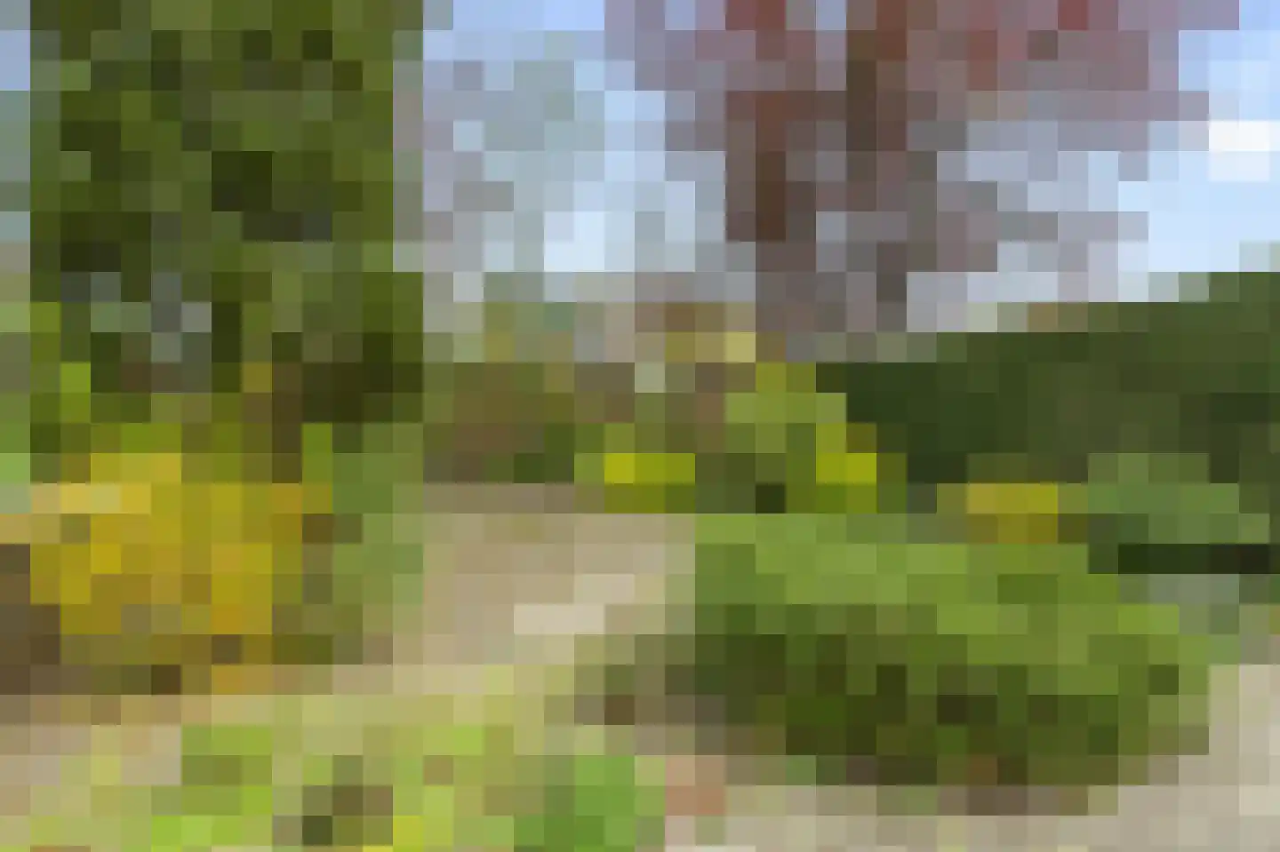 Roerdompweide 2 Houten thumbnail 23
