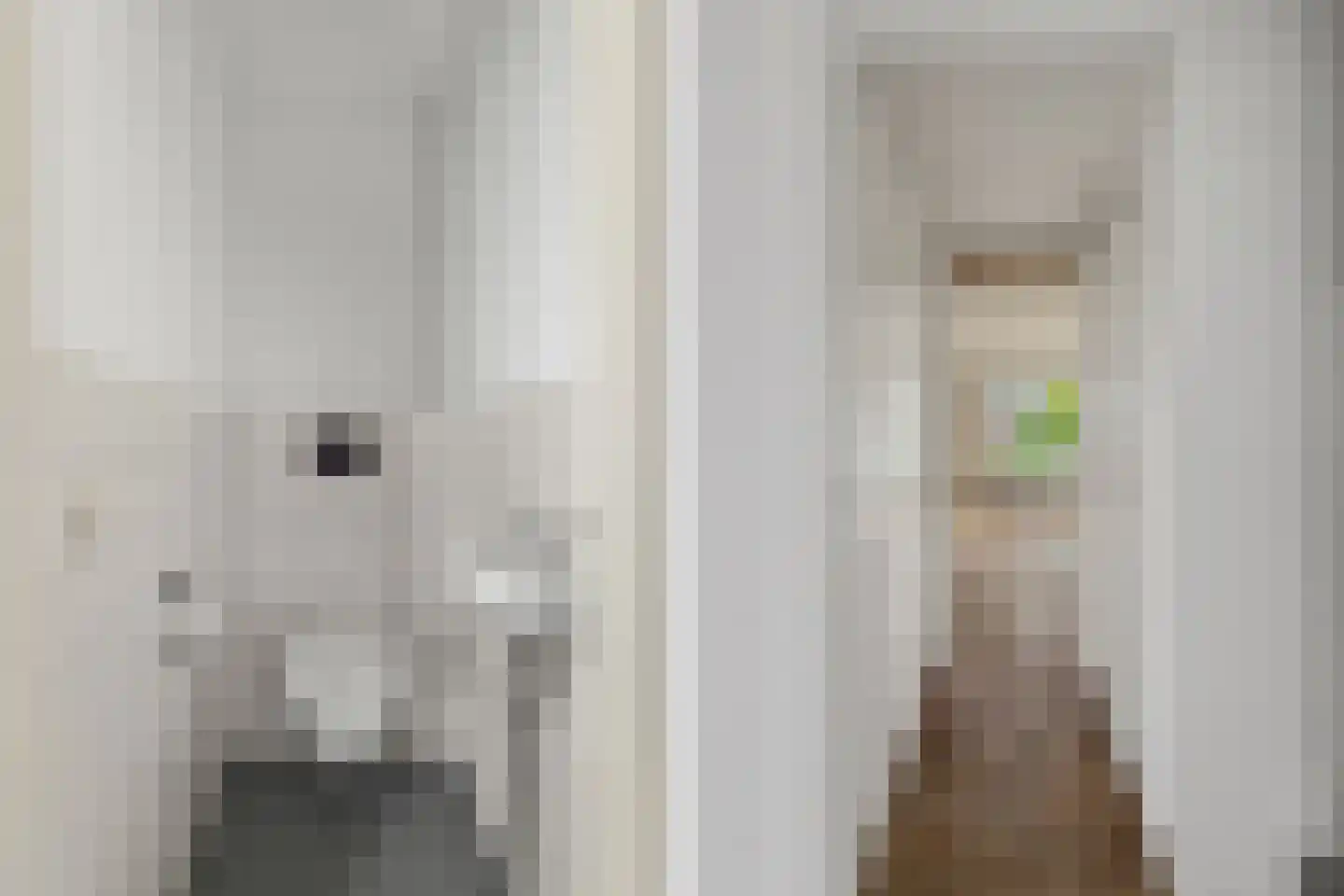 Roerdompweide 2 Houten thumbnail 5