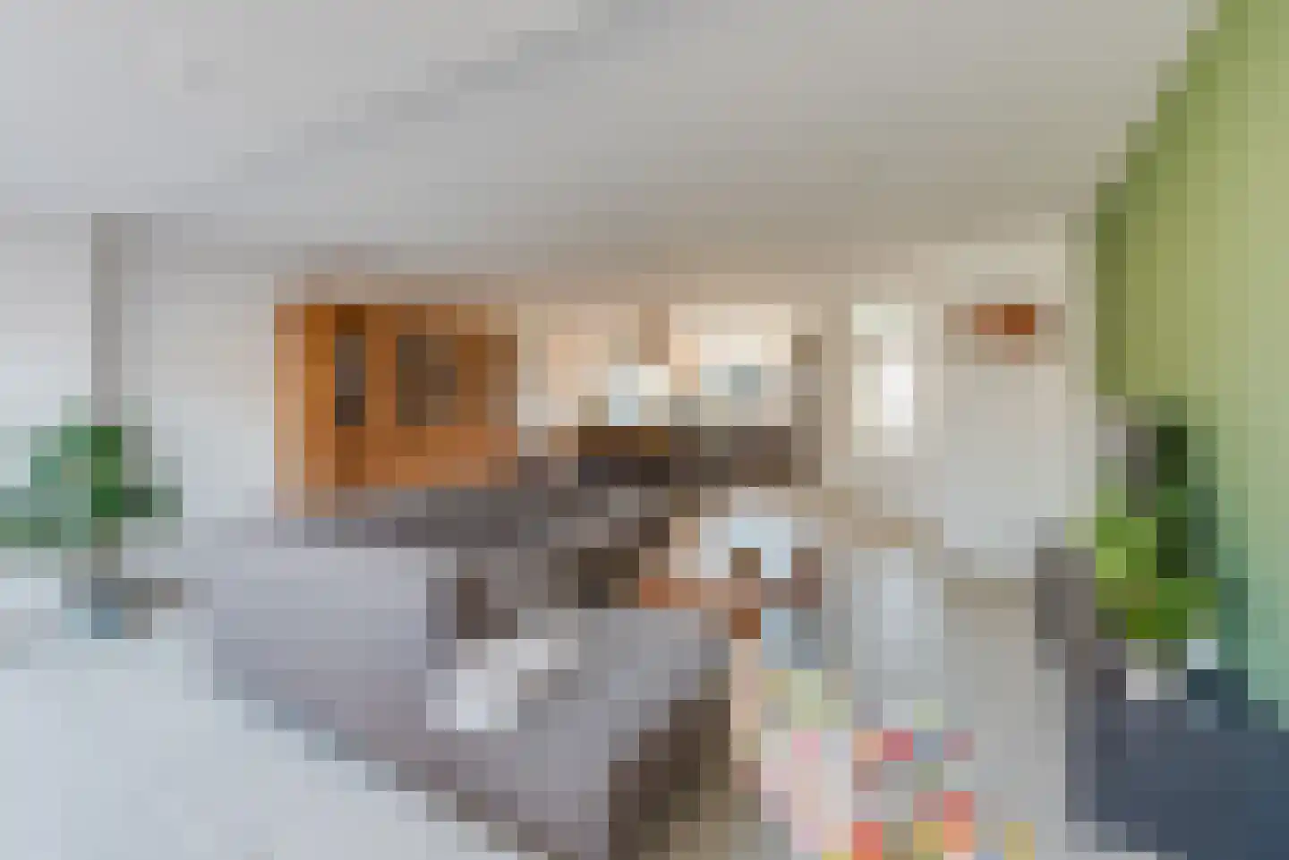Roerdompweide 30 Houten thumbnail 10
