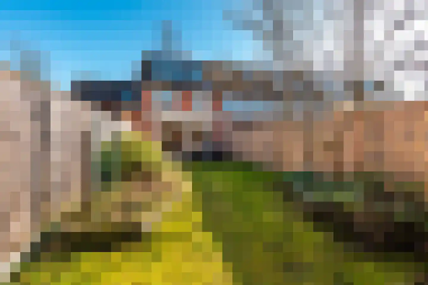 Roerdompweide 30 Houten thumbnail 29