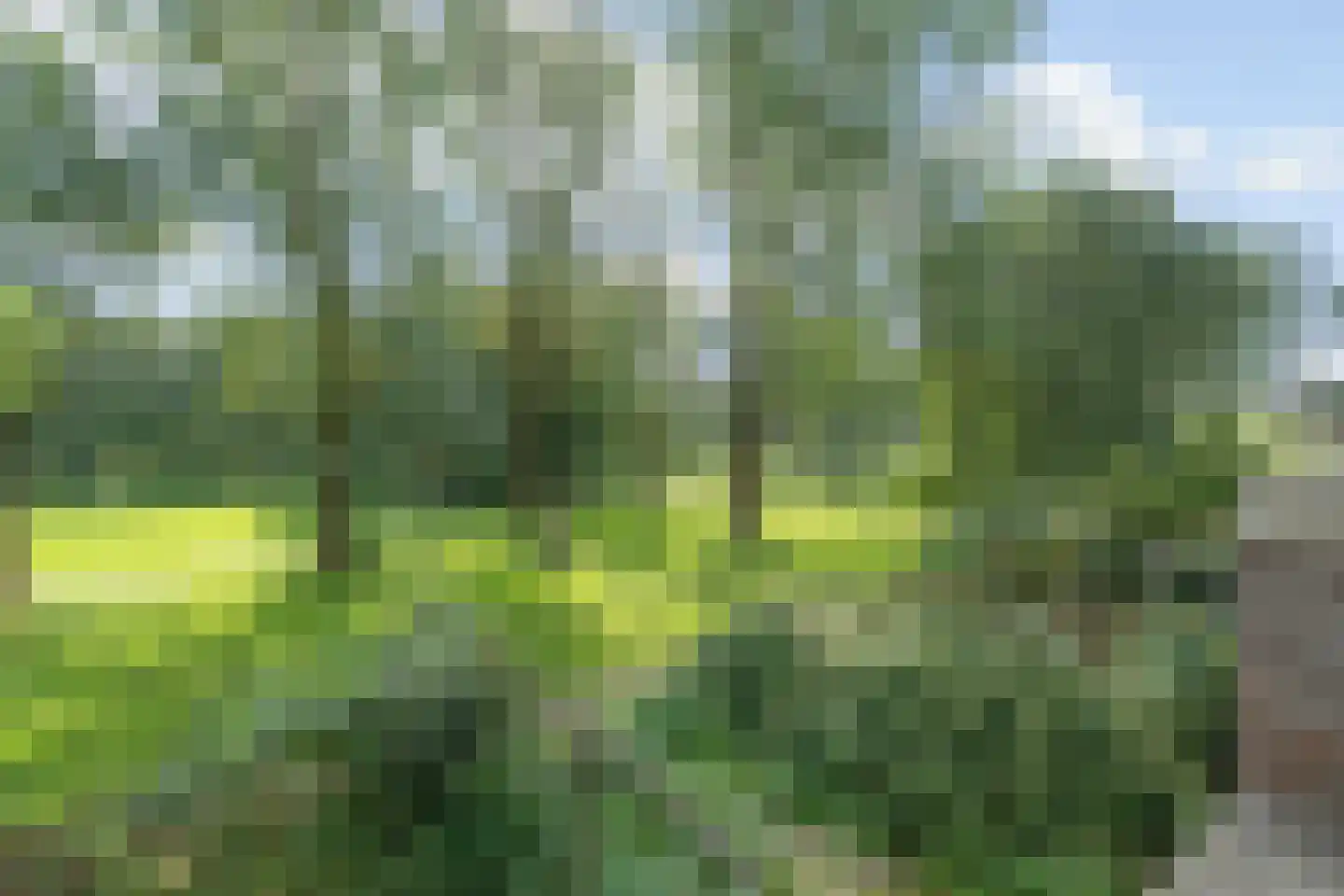 Roerdompweide 33 Houten thumbnail 11