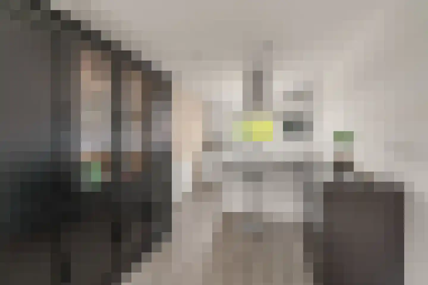 Roerdompweide 33 Houten thumbnail 14