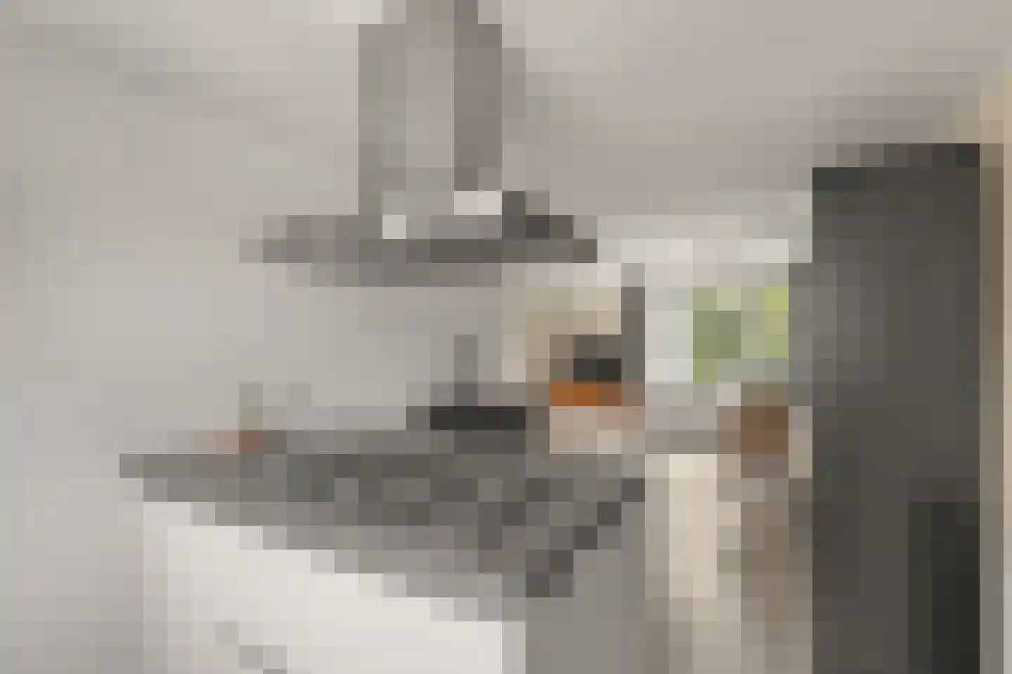 Roerdompweide 33 Houten thumbnail 17