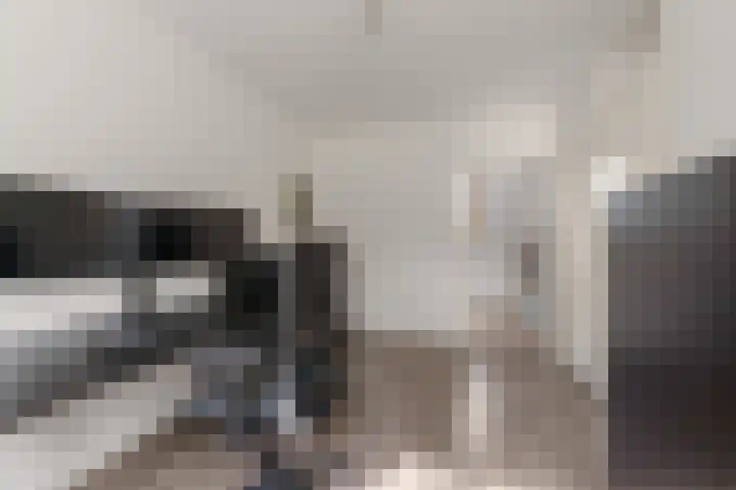 Roerdompweide 33 Houten thumbnail 26