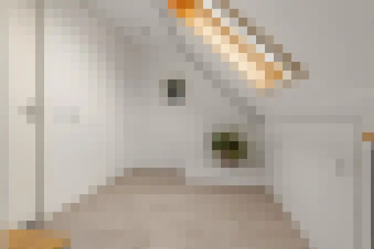 Roerdompweide 33 Houten thumbnail 29