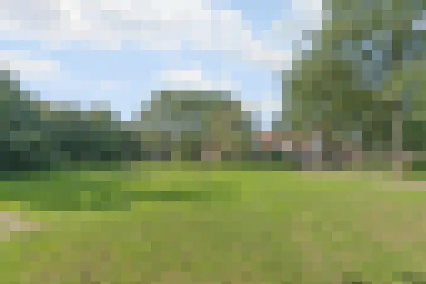 Roerdompweide 33 Houten thumbnail 32