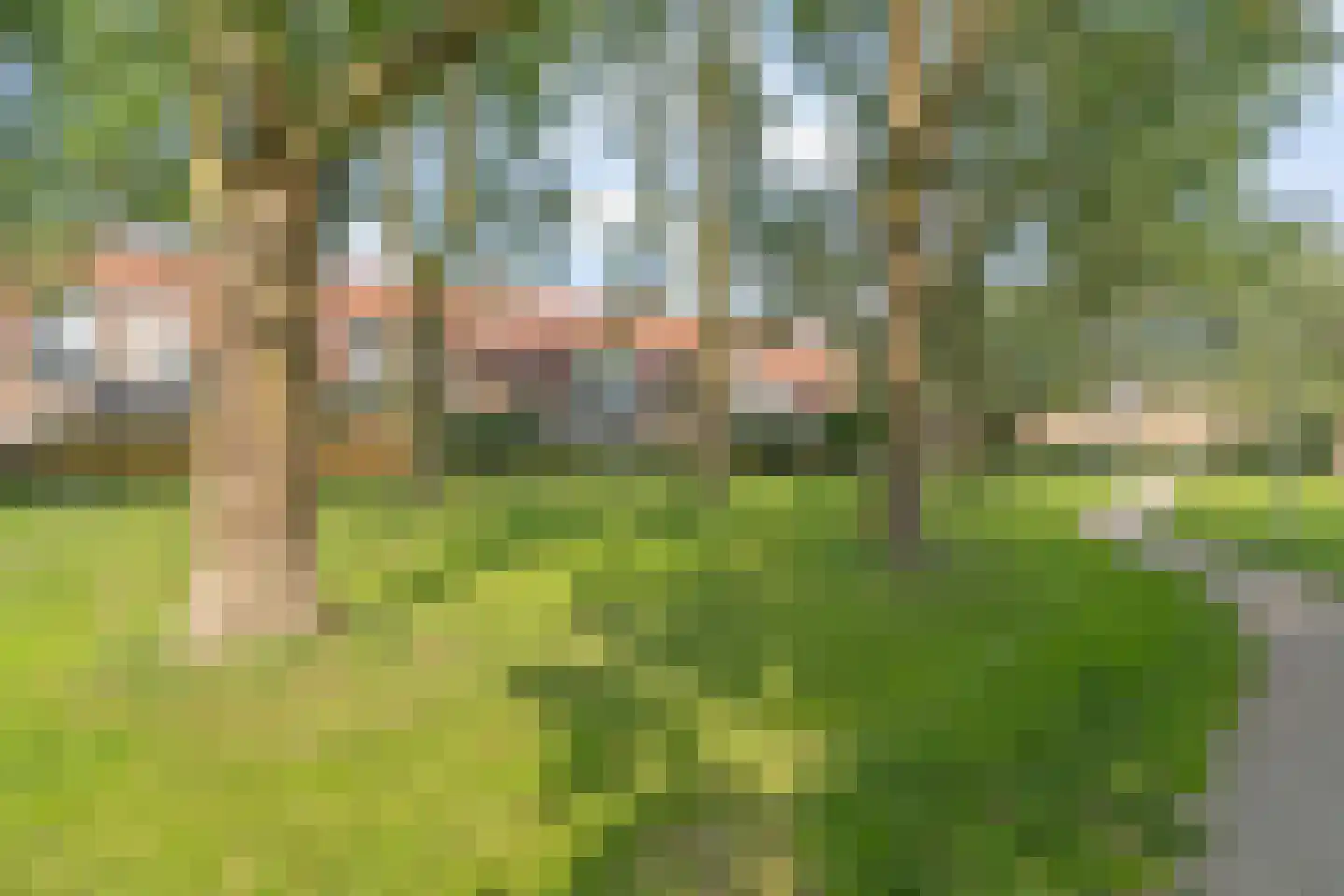 Roerdompweide 33 Houten thumbnail 33