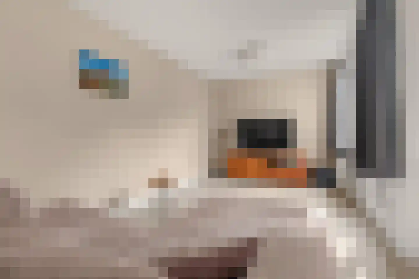Roerdompweide 33 Houten thumbnail 8