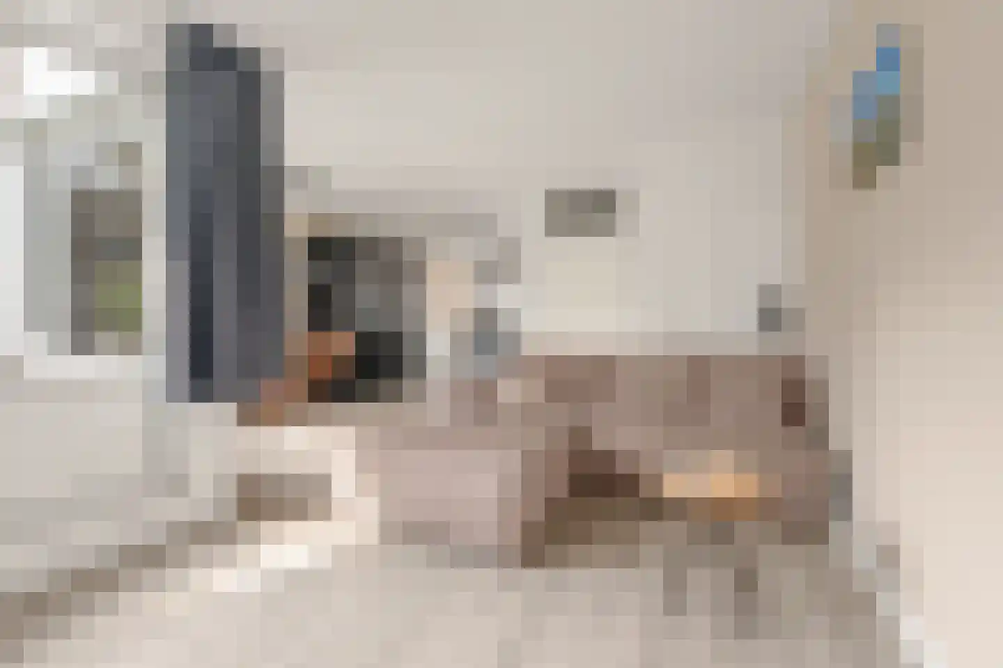 Roerdompweide 33 Houten thumbnail 9