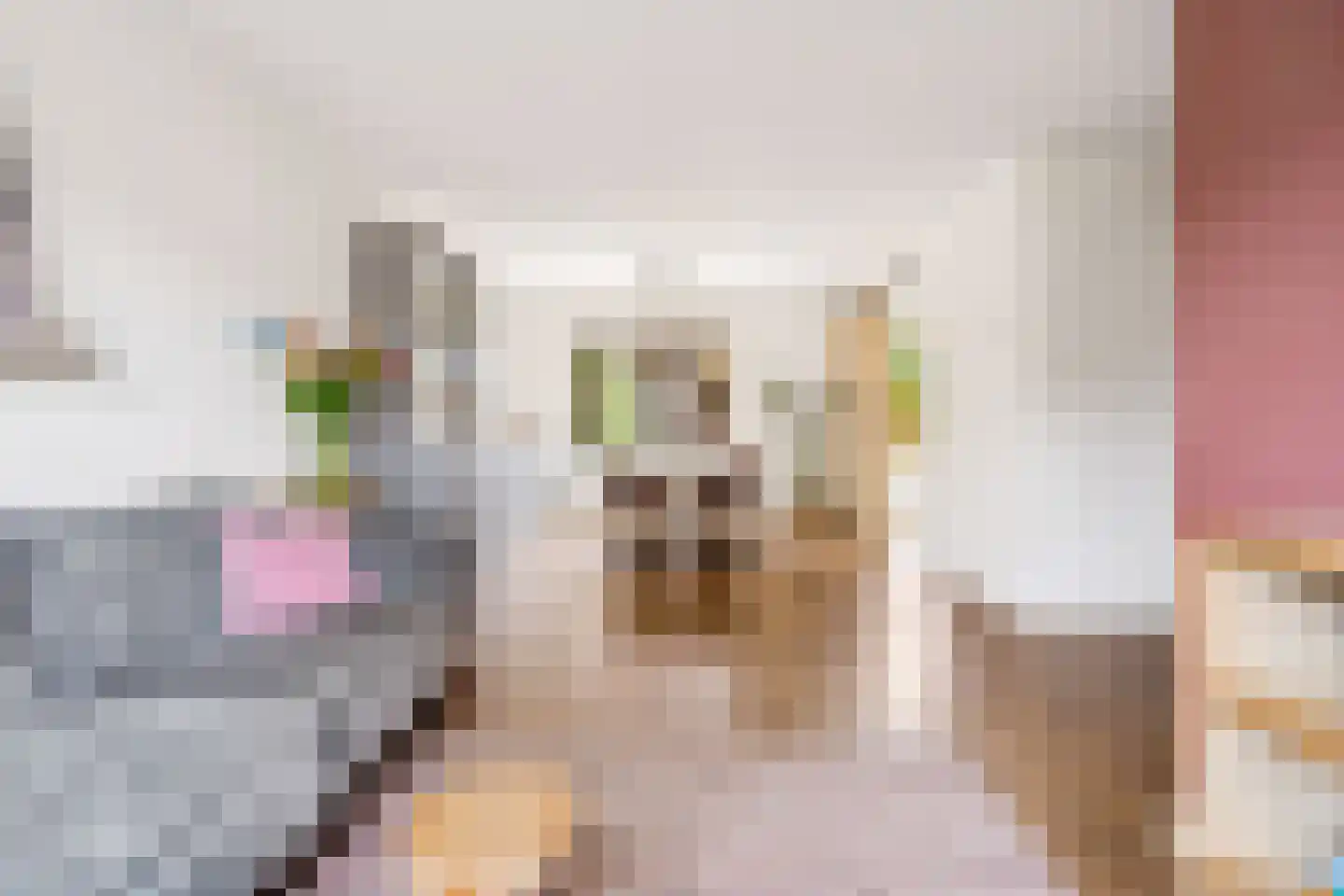 Roerdompweide 4 Houten thumbnail 13