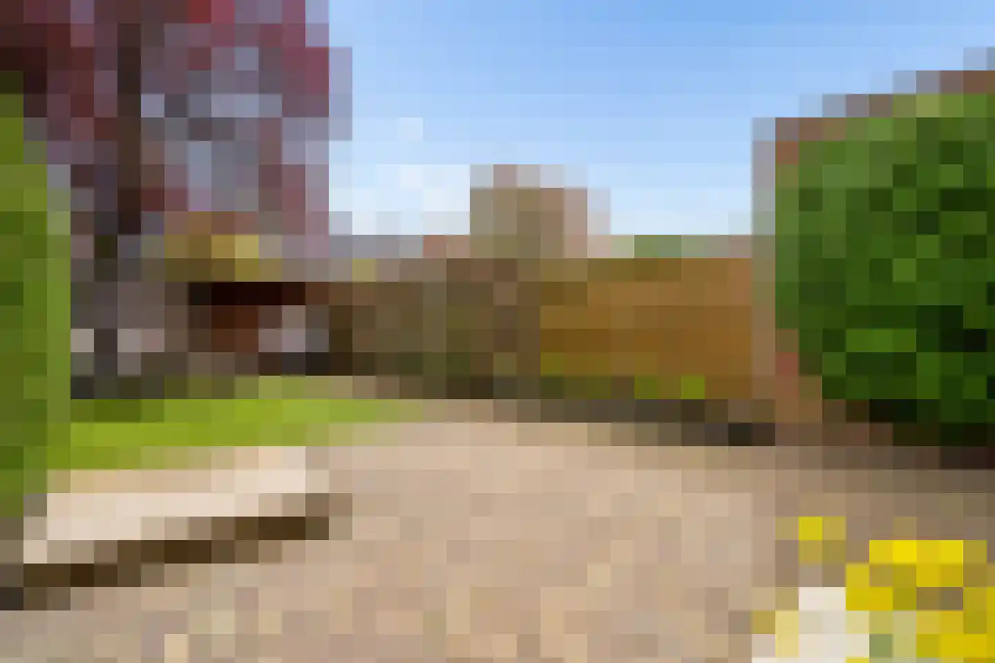 Roerdompweide 4 Houten thumbnail 39