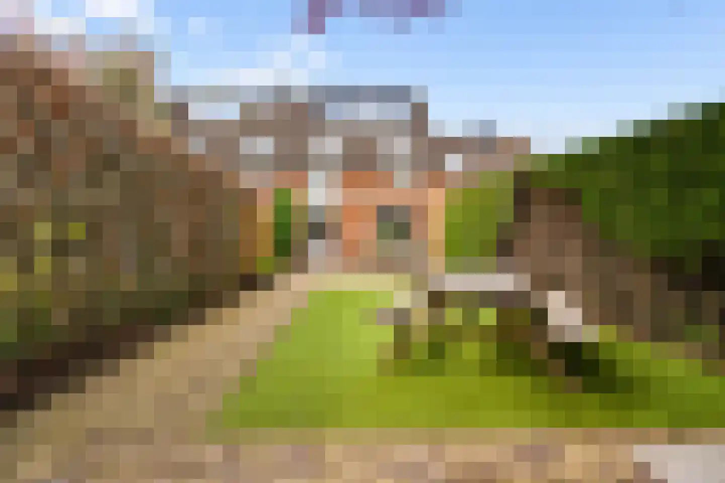 Roerdompweide 4 Houten thumbnail 40