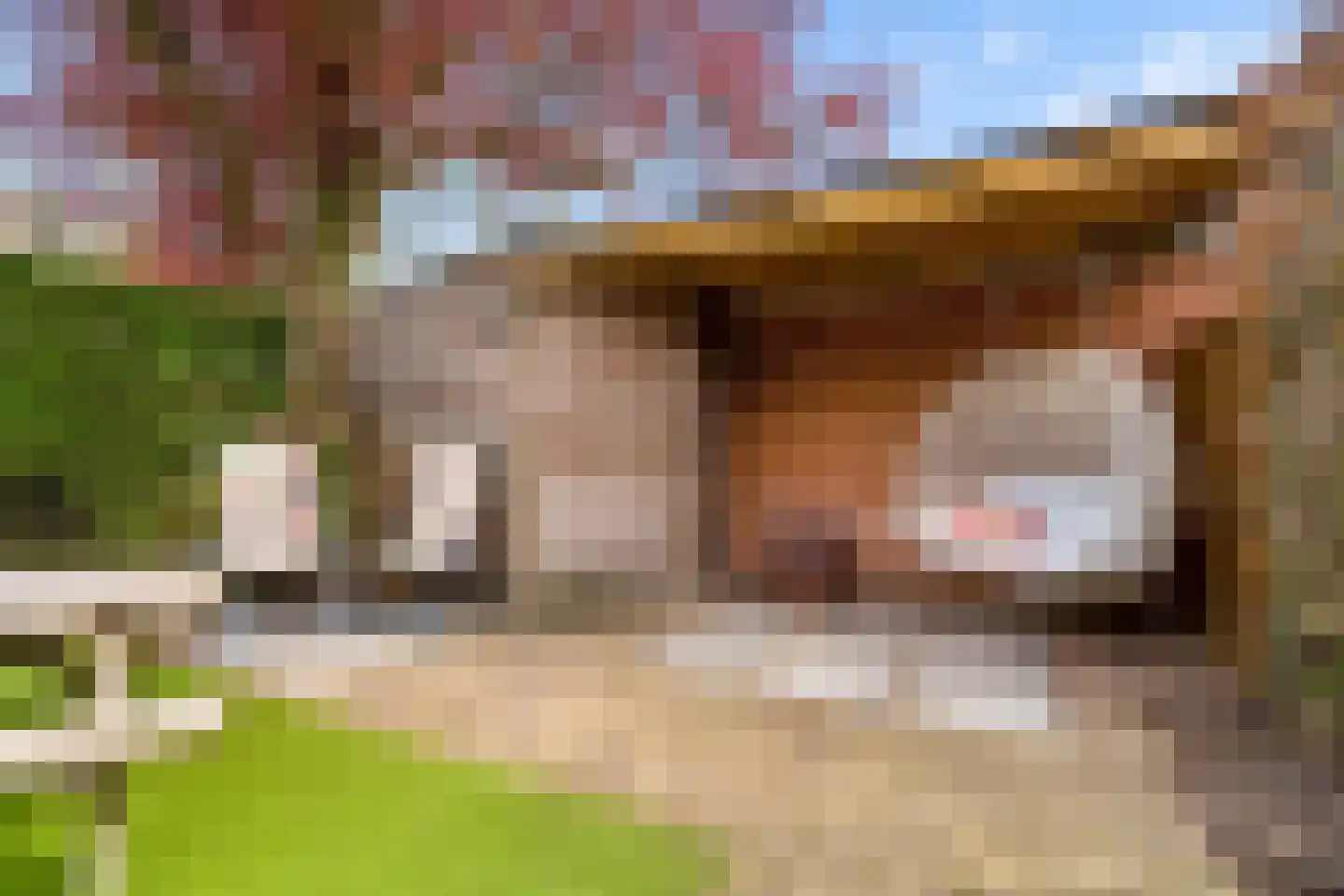 Roerdompweide 4 Houten thumbnail 41