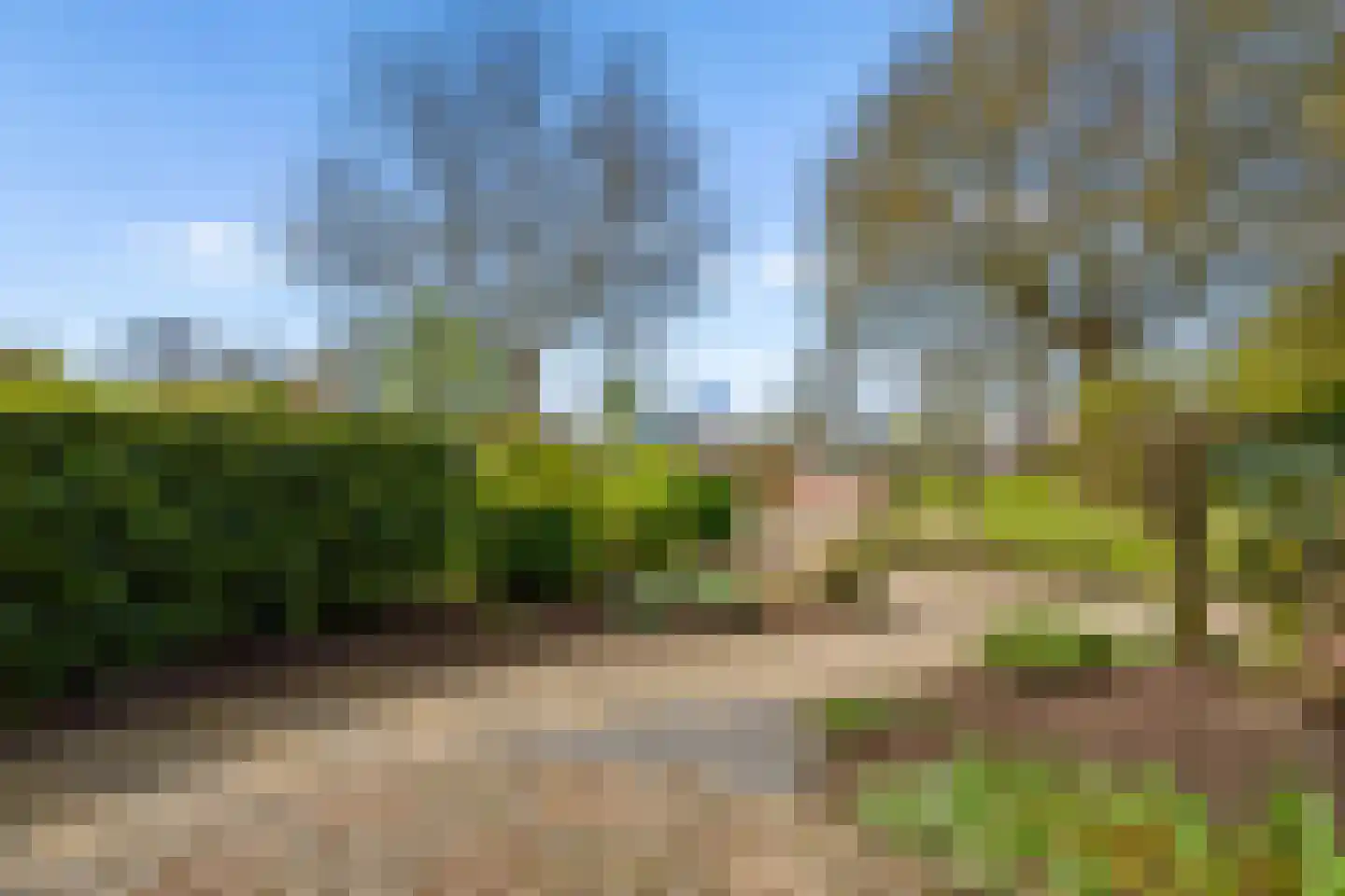 Roerdompweide 4 Houten thumbnail 42