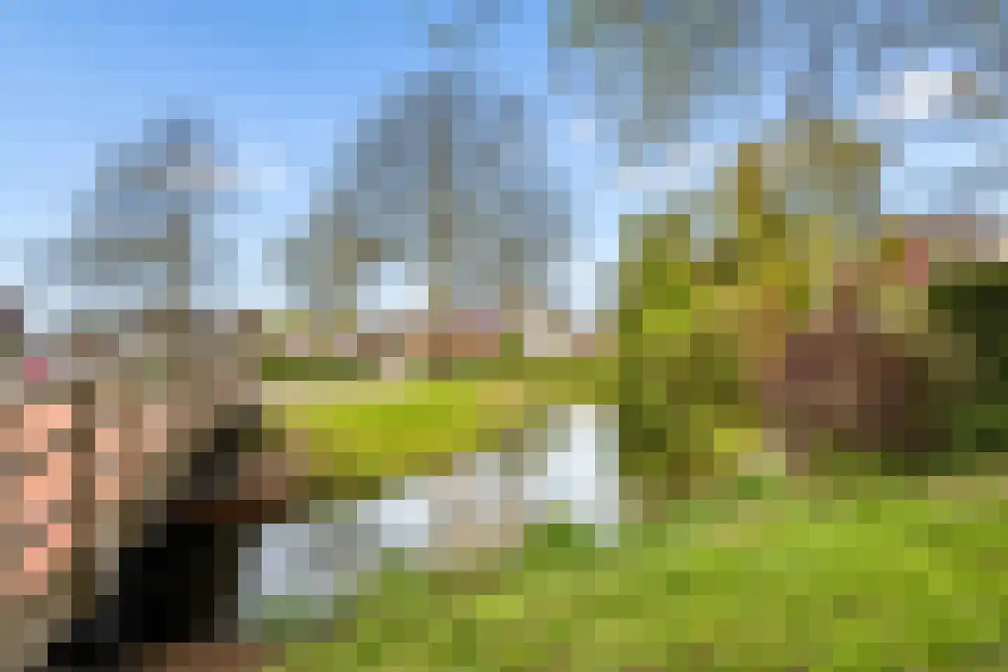 Roerdompweide 4 Houten thumbnail 43