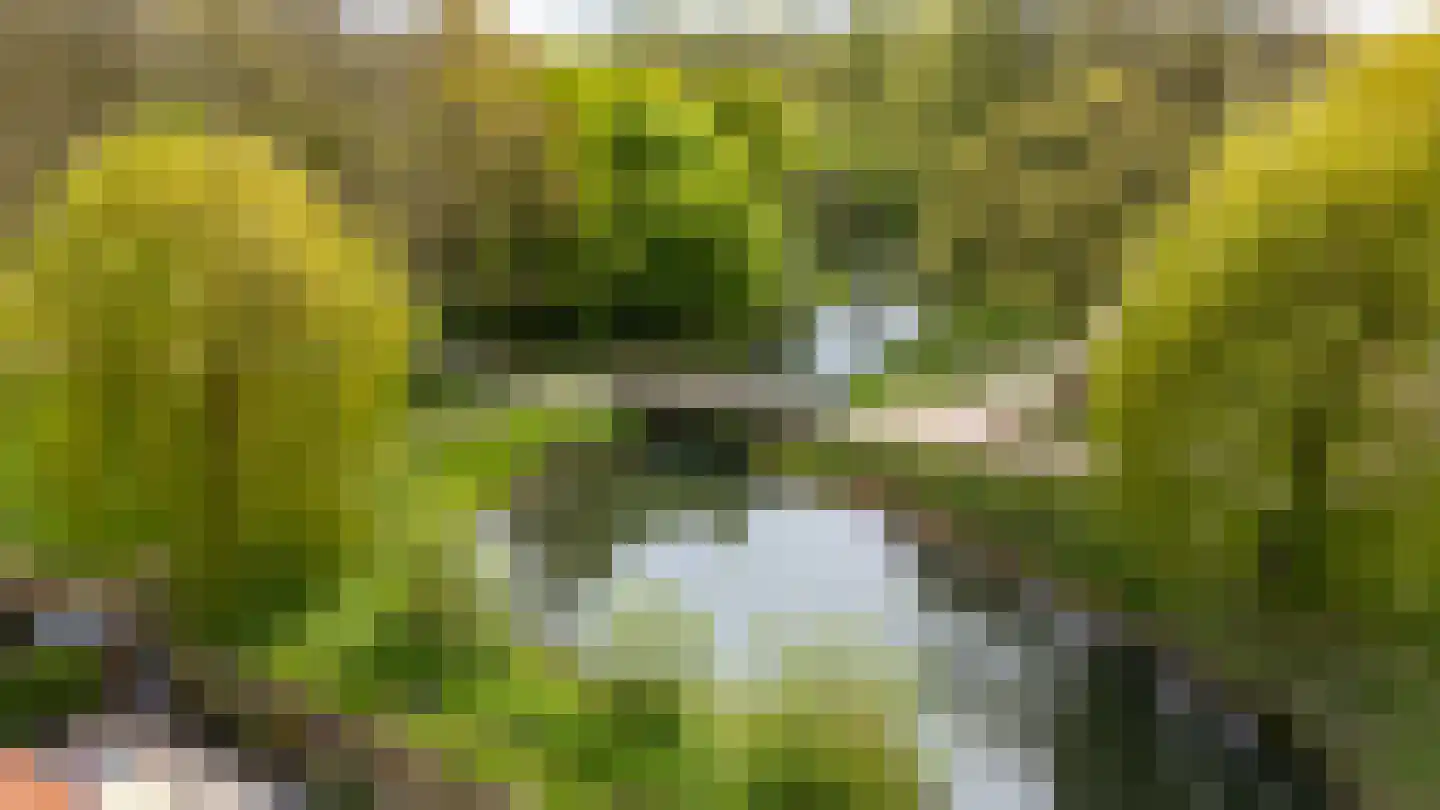 Roerdompweide 4 Houten thumbnail 46