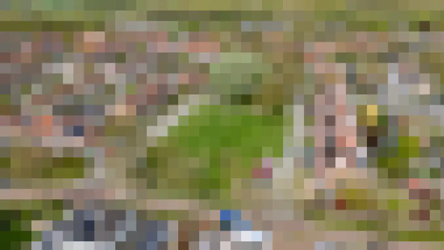 Roerdompweide 4 Houten thumbnail 48