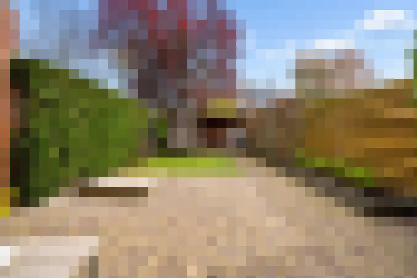 Roerdompweide 4 Houten thumbnail 5