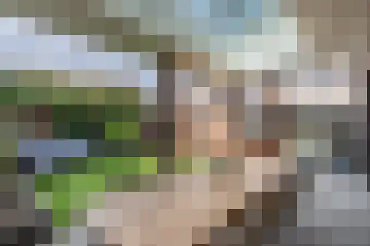 Roerkuip 15 Sint-Michielsgestel thumbnail 20