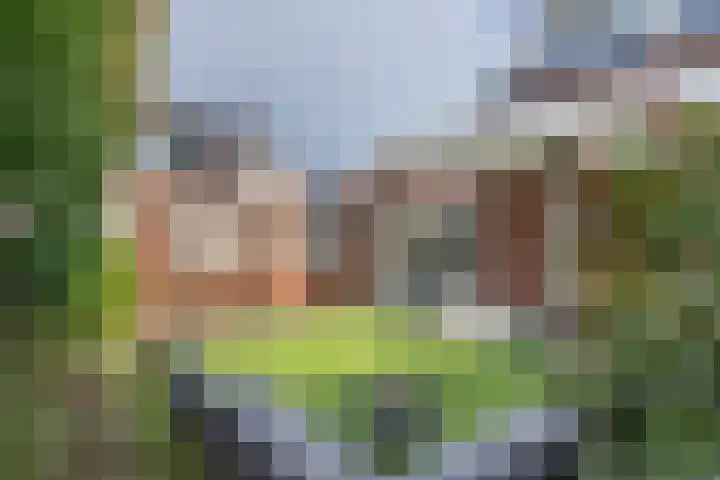 Roerkuip 15 Sint-Michielsgestel thumbnail 22