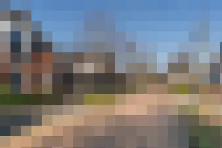 Roerkuip 15 Sint-Michielsgestel thumbnail 24