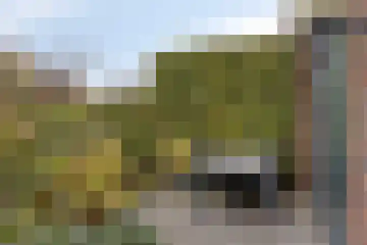 Roerkuip 27 Sint-Michielsgestel thumbnail 14