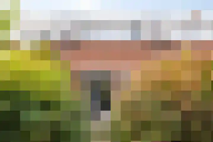 Roerkuip 27 Sint-Michielsgestel thumbnail 17