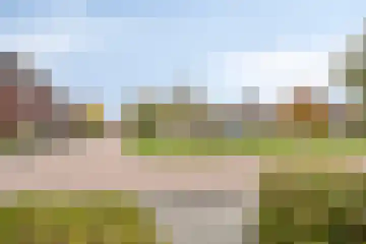 Roerkuip 27 Sint-Michielsgestel thumbnail 8