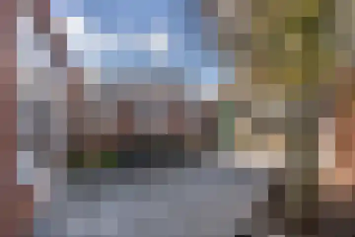 Roerkuip 5 Sint-Michielsgestel thumbnail 21