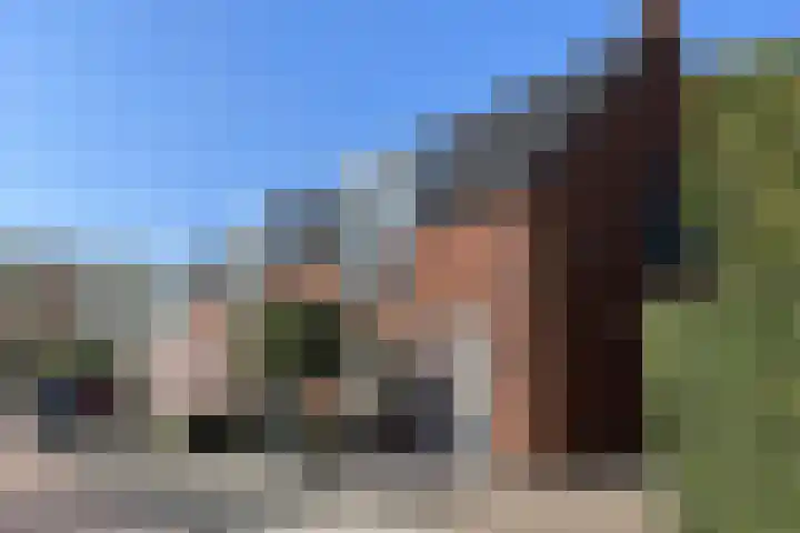 Roerkuip 5 Sint-Michielsgestel thumbnail 25