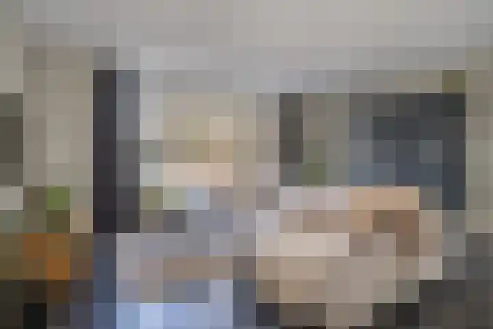 Roerkuip 5 Sint-Michielsgestel thumbnail 4