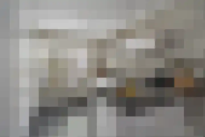 Roerkuip 5 Sint-Michielsgestel thumbnail 8