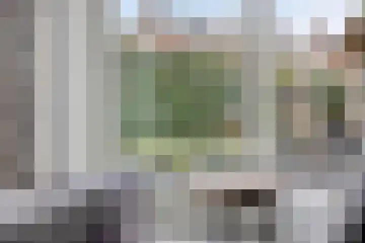 Roerkuip 7 Sint-Michielsgestel thumbnail 10