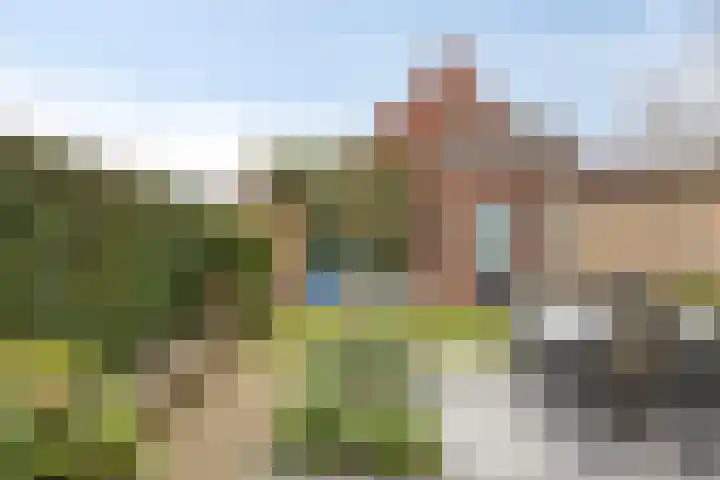 Roerkuip 7 Sint-Michielsgestel thumbnail 33