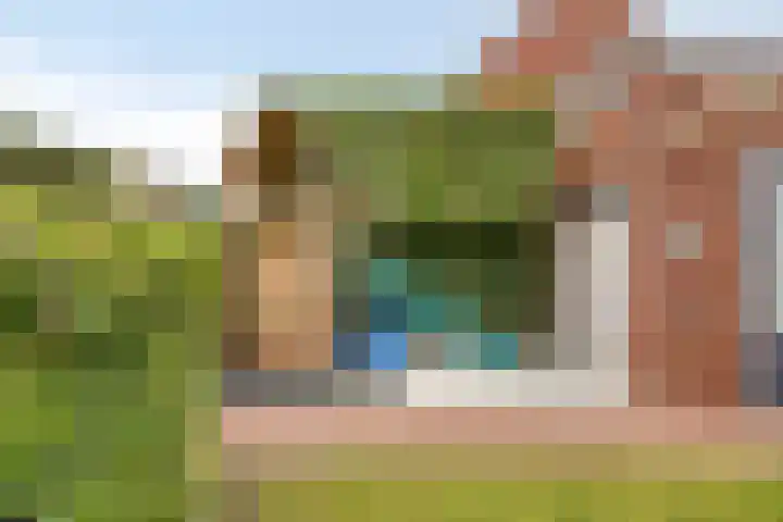 Roerkuip 7 Sint-Michielsgestel thumbnail 35