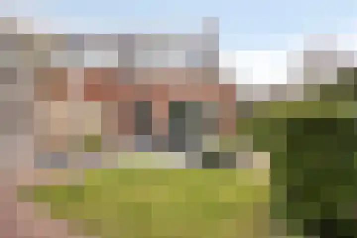 Roerkuip 7 Sint-Michielsgestel thumbnail 36