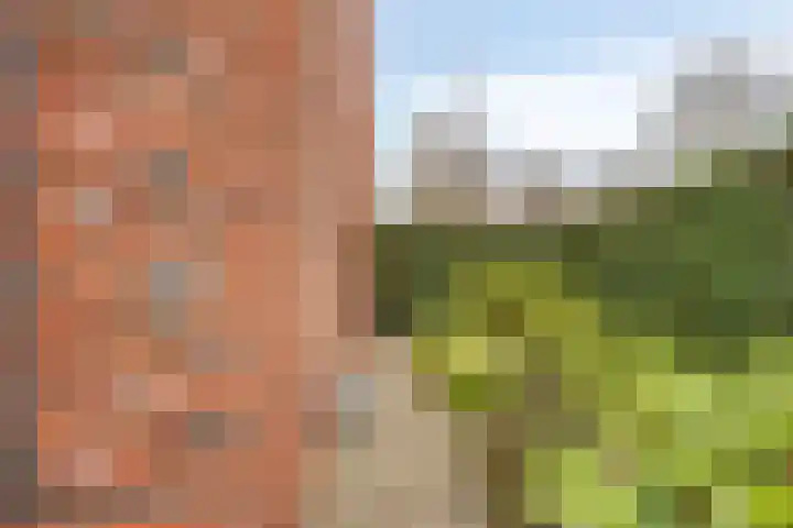 Roerkuip 7 Sint-Michielsgestel thumbnail 38