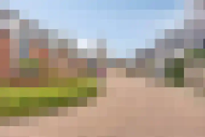 Roerkuip 7 Sint-Michielsgestel thumbnail 43