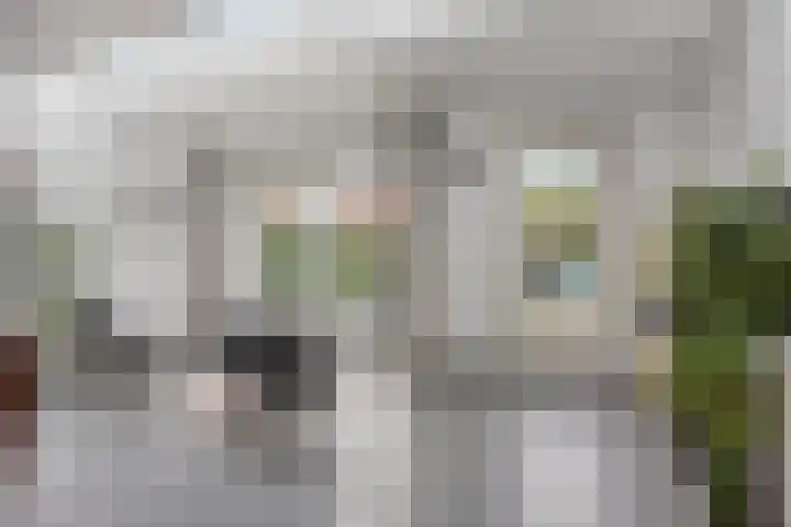 Roerkuip 7 Sint-Michielsgestel thumbnail 8