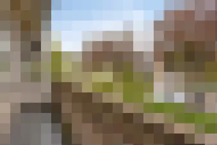 Roerlaan 25 Son en Breugel thumbnail 30