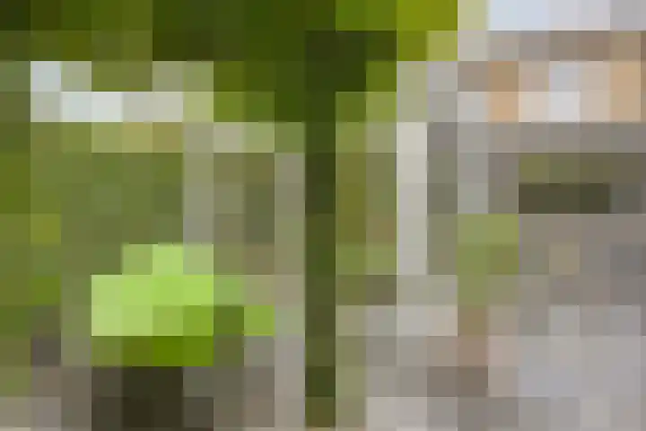 Roerlaan 25 Son en Breugel thumbnail 37