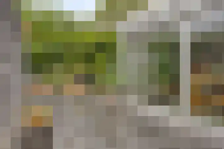 Roerlaan 25 Son en Breugel thumbnail 38