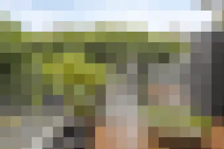 Roerlaan 25 Son en Breugel thumbnail 43