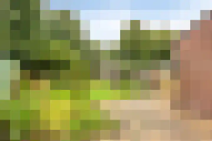 Roermonds Kwartier 36 Grubbenvorst thumbnail 21