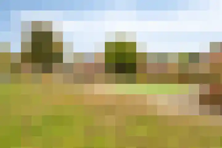 Roermonds Kwartier 36 Grubbenvorst thumbnail 28