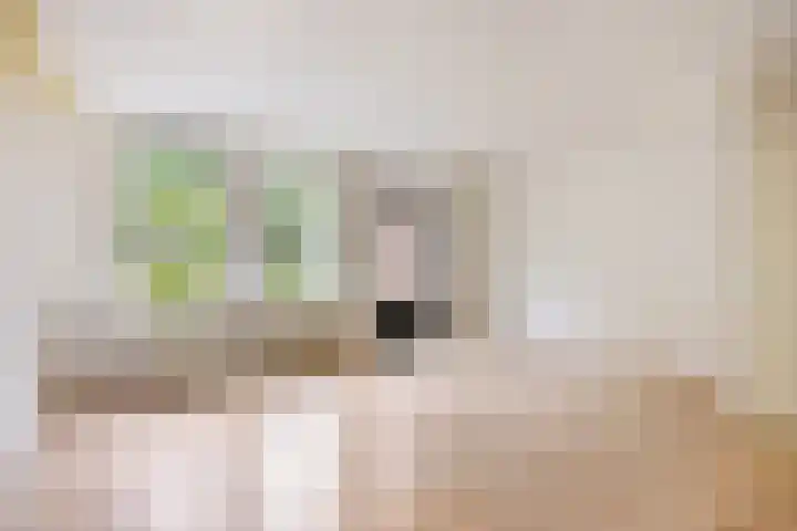 Roermonds Kwartier 36 Grubbenvorst thumbnail 4