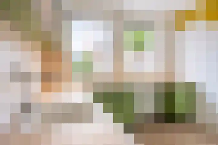 Roermonds Kwartier 36 Grubbenvorst thumbnail 8