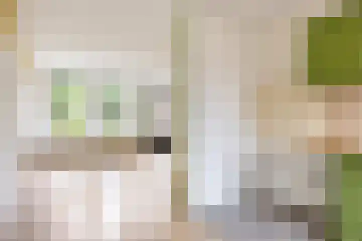 Roermonds Kwartier 36 Grubbenvorst thumbnail 9