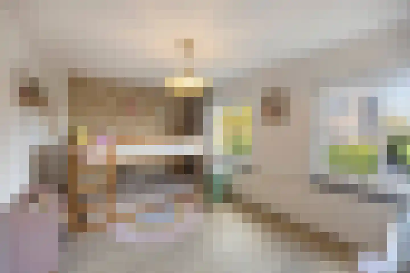 Roermondsestraat 19 Herten thumbnail 28